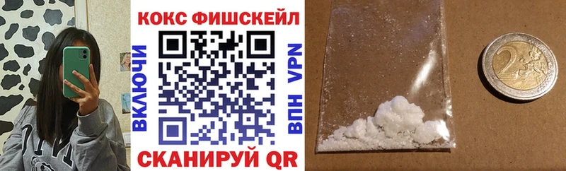 КОКАИН Fish Scale  купить  цена  Подпорожье 