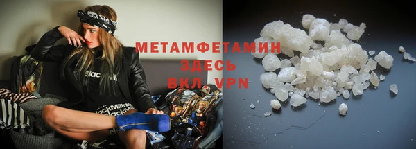 прущие грибы Пестово