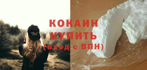 прущие грибы Пестово