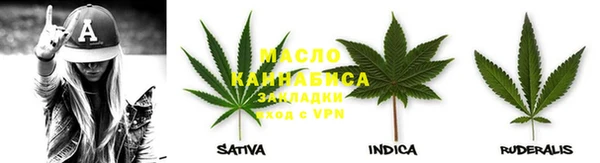 прущие грибы Пестово
