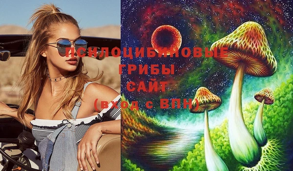 прущие грибы Пестово