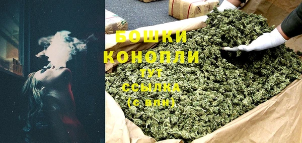 прущие грибы Пестово
