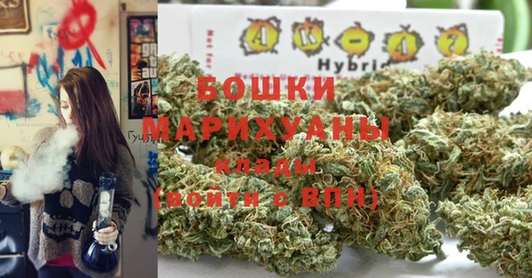 прущие грибы Пестово