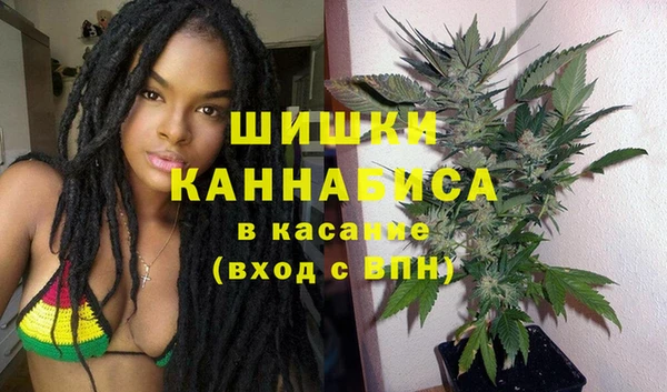 прущие грибы Пестово