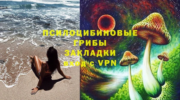 прущие грибы Пестово