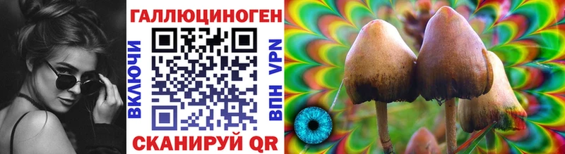 Псилоцибиновые грибы мицелий  Подпорожье 